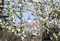 Biergarten geöffnet ab 12 Uhr Biergarten geöffnet ab 12 Uhr